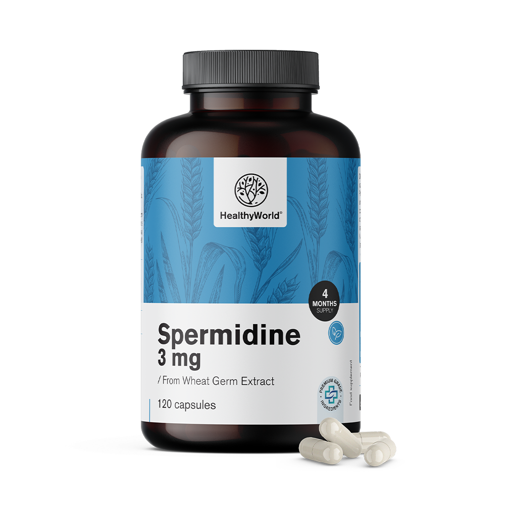 Spermidin 3 mg – a búzasprout kivonatából